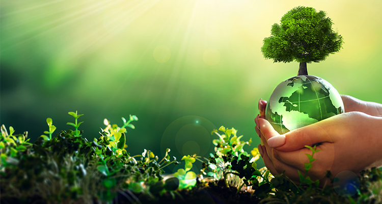 Reverse Osmosis Membrane Housings